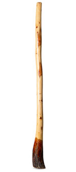 Ironbark Didgeridoo (IB200)